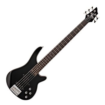 Guitare Basse 5 Cordes – Polyvalence et Puissance
